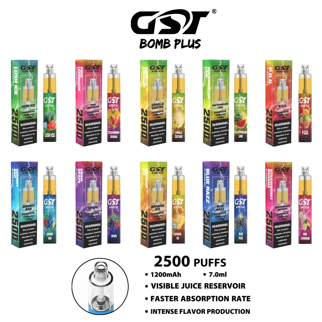 Wholesale E Cigarette Distributor OEM Russia New 2500puffs Gst Disposable Pod Electronic Cigarette