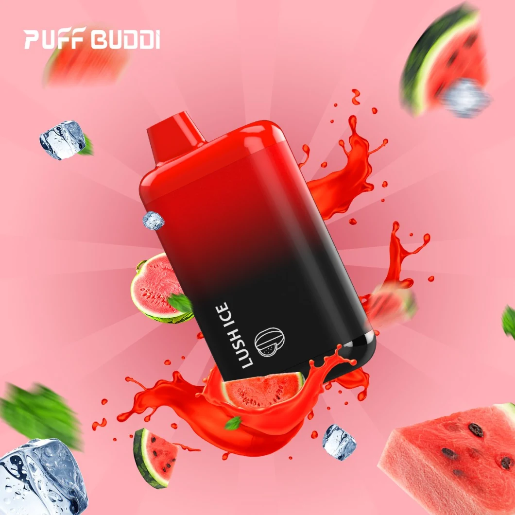 Customized OEM 10ml 650mAh Battery 5000puffs Disposable Pod Vape